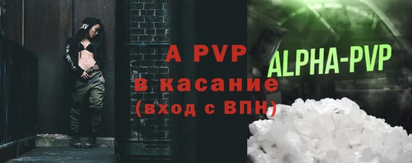 индика Аркадак