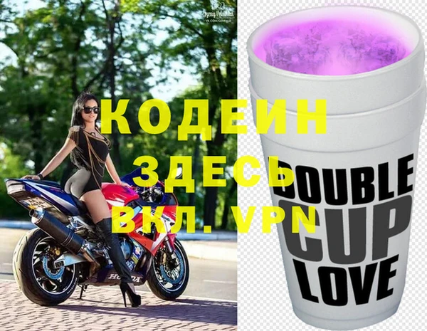 индика Аркадак