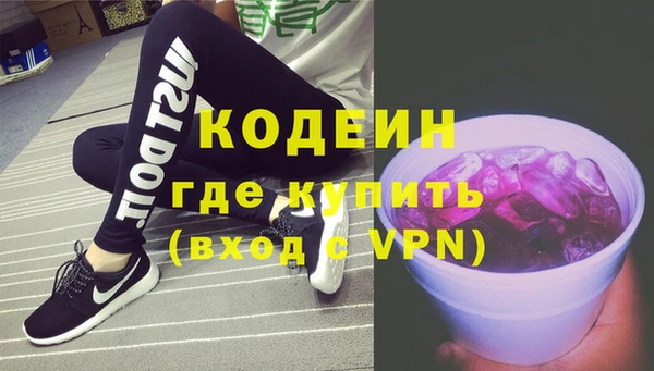 индика Аркадак