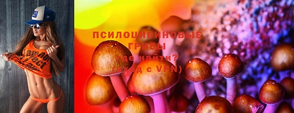 индика Аркадак