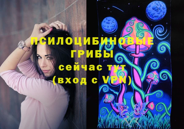 индика Аркадак